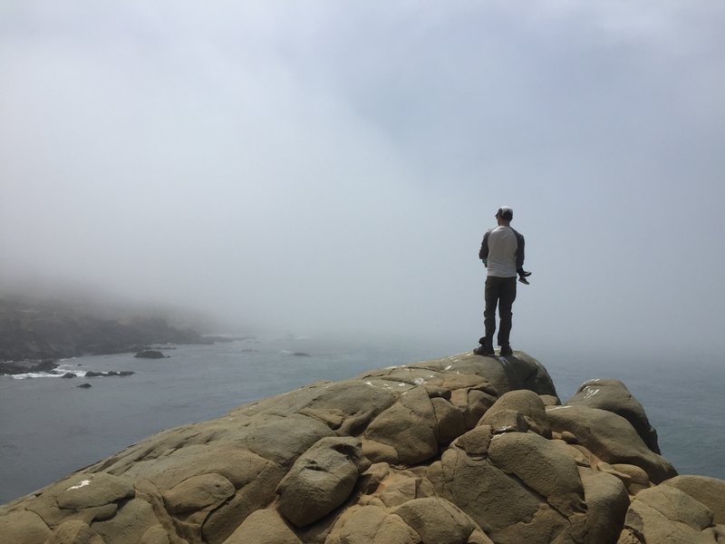 Looking out into the fog on Panorama Point.