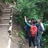 The trail is open!! These new box steps built by EarthCorps provide a safe detour around the landslide.