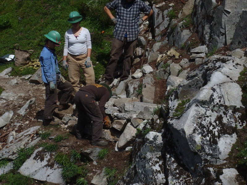 EarthCorps crew moving rocks to help craft the trail!