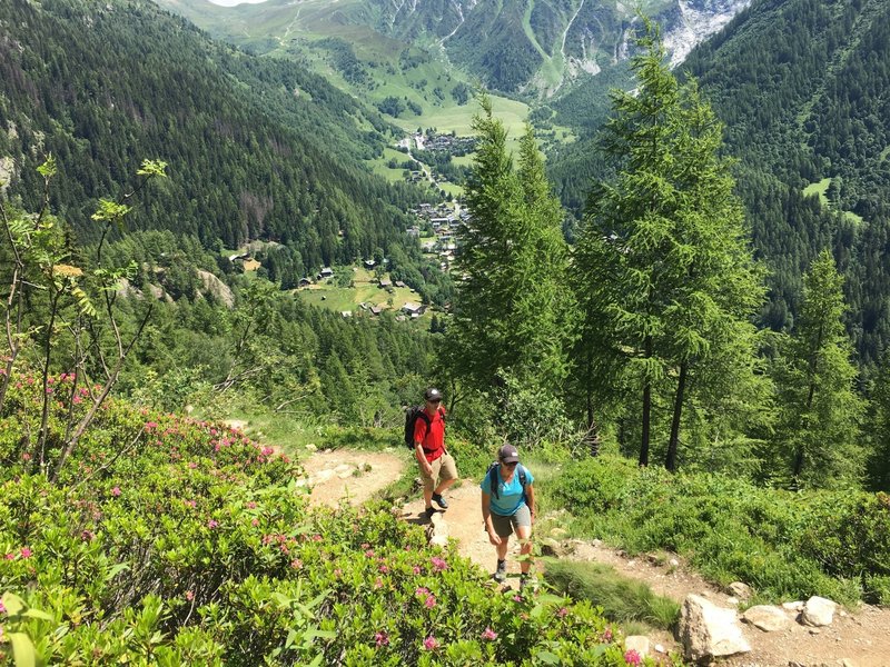 The lower slopes above Argentiere.