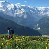 Looking way down to Lauterbrunnen, and way up to the Jungfrau.