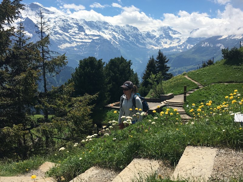 The wildflower study gardens - the "Alpengarten"