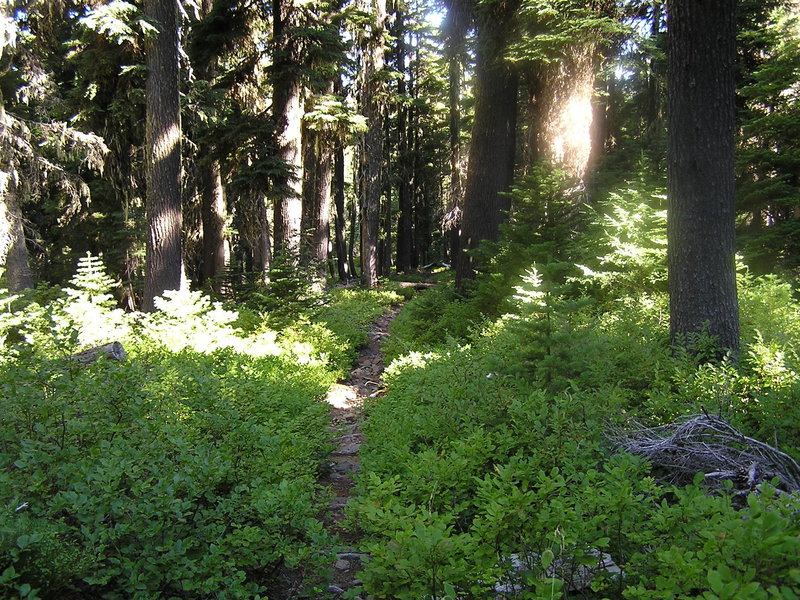 Lake Ivern Trail heading north to Lake Ivern from Middle Lake.