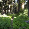 Lake Ivern Trail heading north to Lake Ivern from Middle Lake.