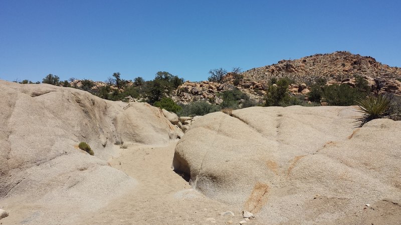 Fun rocks for kids to play on.