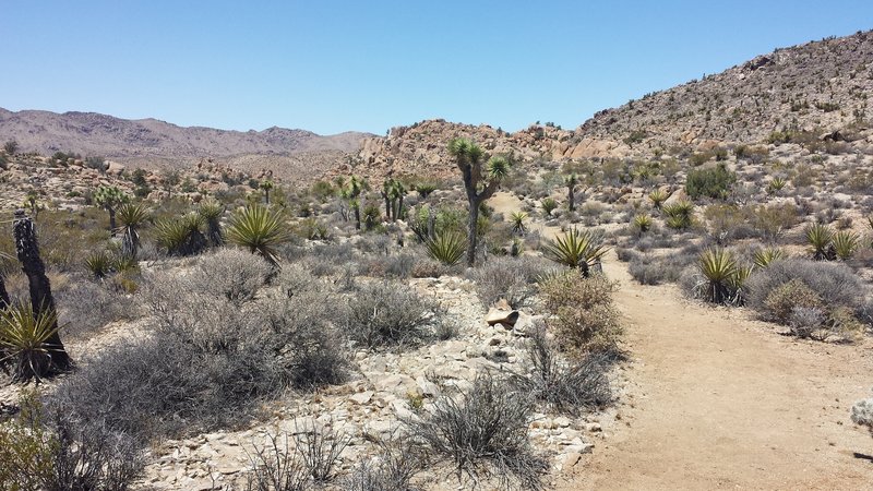 Looking south on the return trip.