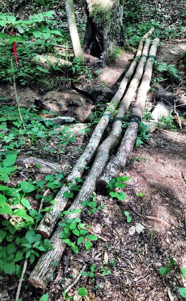 Homemade bridge crossing a small creek.