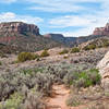 Heading along No Throughfare Canyon, Colorado Nat. Monument. with permission from Peter B. Pearman