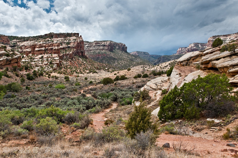 Turning onto the start of No Thoroughfare Canyon Trail. with permission from Peter B. Pearman