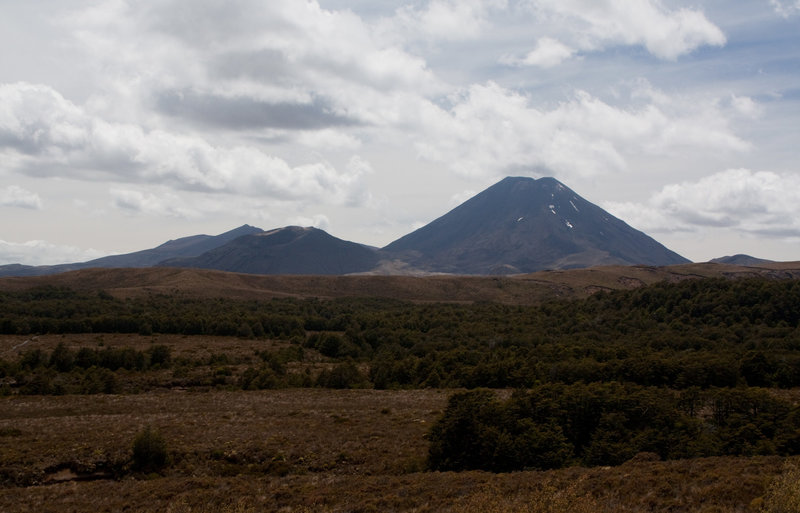 View of Ngauruhoe from the lower Taranaki Falls Track.