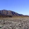 Lava flats below Devil's Staircase, Mangatepopo Stream.