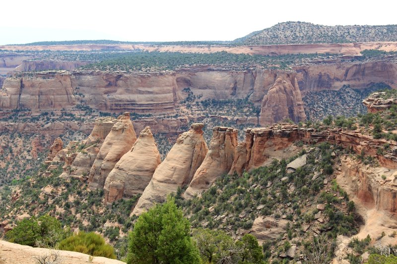 Coke Ovens from the north.