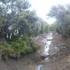 Pretty standard section of rough trail between Waihohonu and Tama Saddle