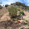 Trail work on No Throughfair Canyon Trail, Colorado National Monument, Colorado.