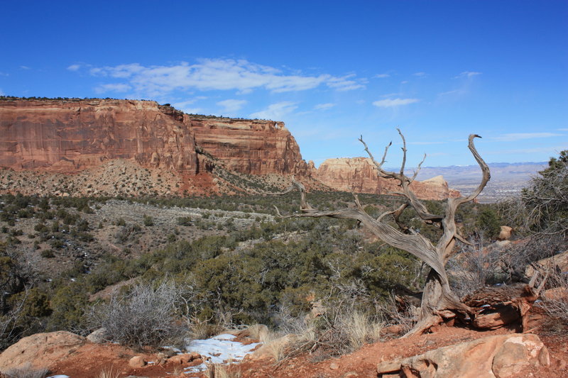 Looking down Wedding Canyon. with permission from Hobbes7714 Photo Credit: Andrew Wahr  Link: https://twitter.com/WahrAndrew