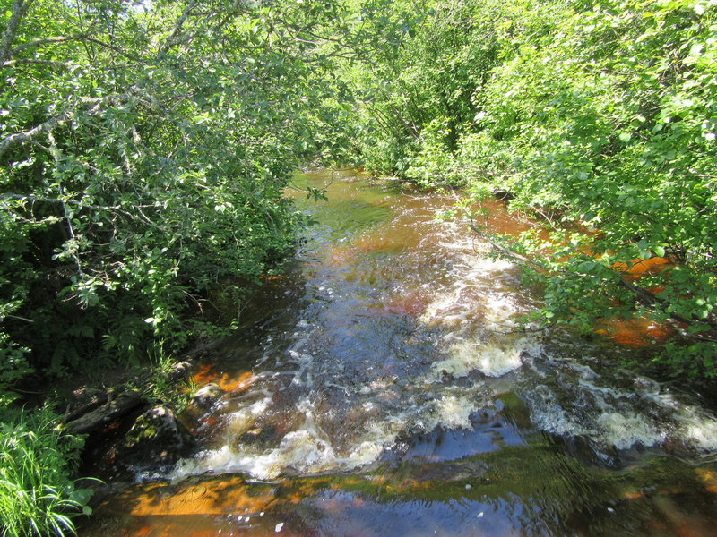 Washington Creek from the bridge.