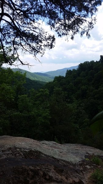 The view through the trees.