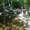 Pools below the trees.