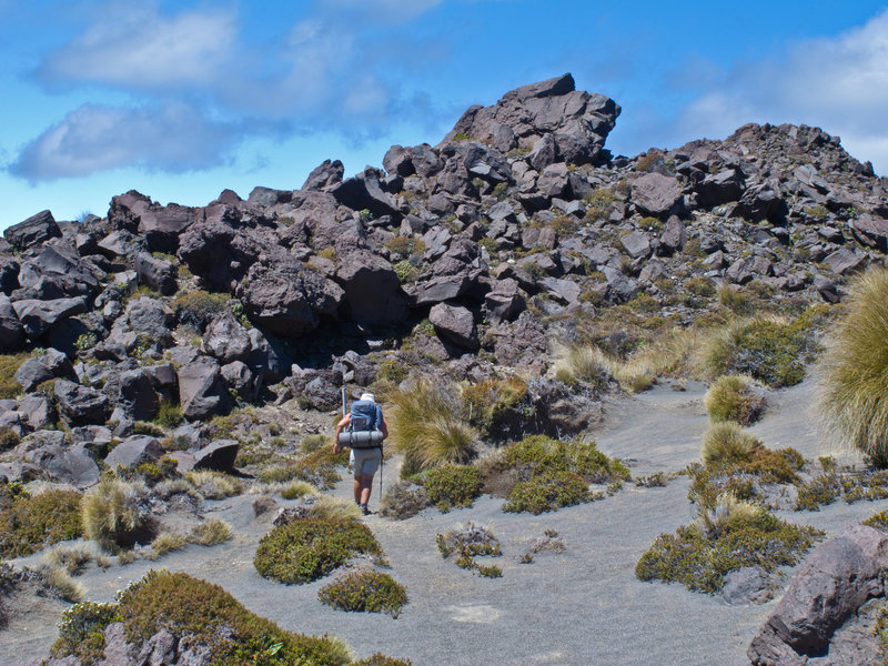 Hiking on the way to Tongariro.