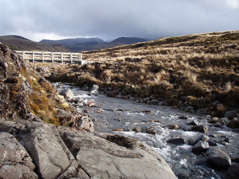 Falls Bridge with Ruapehu in the background