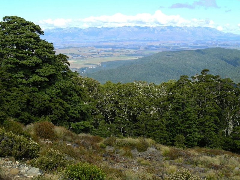 Above the treeline on the Luxmore grunt.