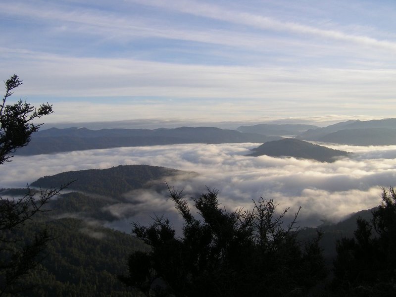 Morning view of cloud-covered Lake from atop the bluffs