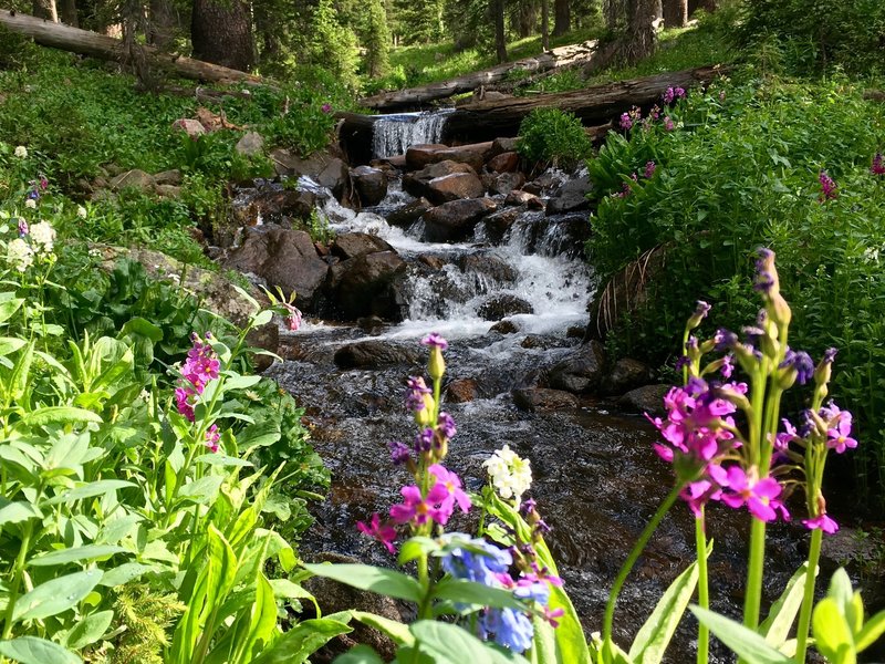 Beautiful Deluge Creek.