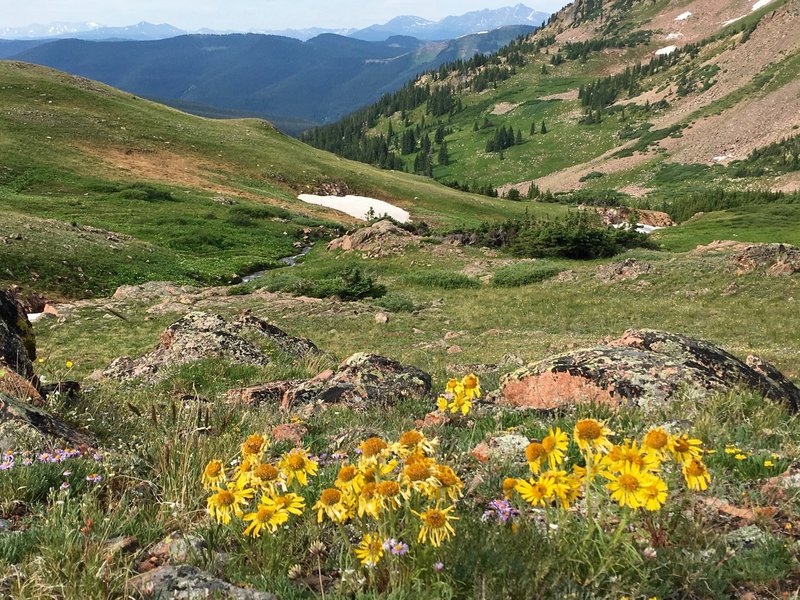 Back towards Vail and the Holy Cross Wilderness in the distance.