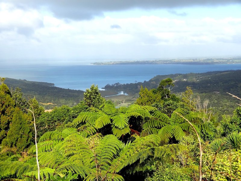 Views from trail start toward Manakau Harbour.