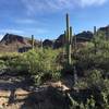 Views from the Panther Peak Wash trail looking at rugged Tucson Mountains.