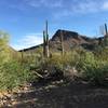 Panther Peak is just beyond the unnamed peak in the center of the photo.