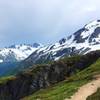 Exit Glacier/Harding Ice Field, Seward, AK