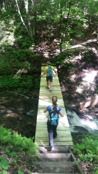 Footbridge near mosquito falls