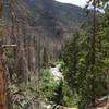 Great view of the Big Thompson River.