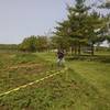 Tree Planting around North Trail Loop