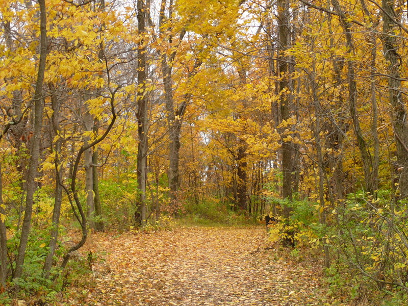 Highbanks Metro Park Columbus.