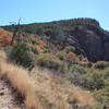 The Southwest Rim Trail through the dry grasses and cacti. with permission from Hobbes7714 Photo Credit: Andrew Wahr  Link: https://twitter.com/WahrAndrew