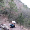 Heading up the Colima Trail.