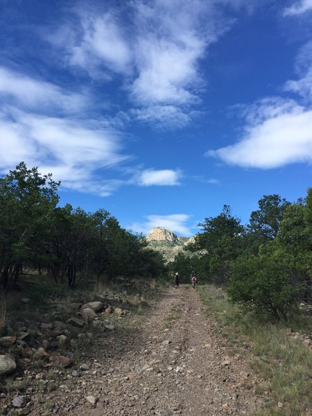 Heading up the doubletrack, false peak in front.