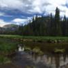 East Inlet meadow clearing