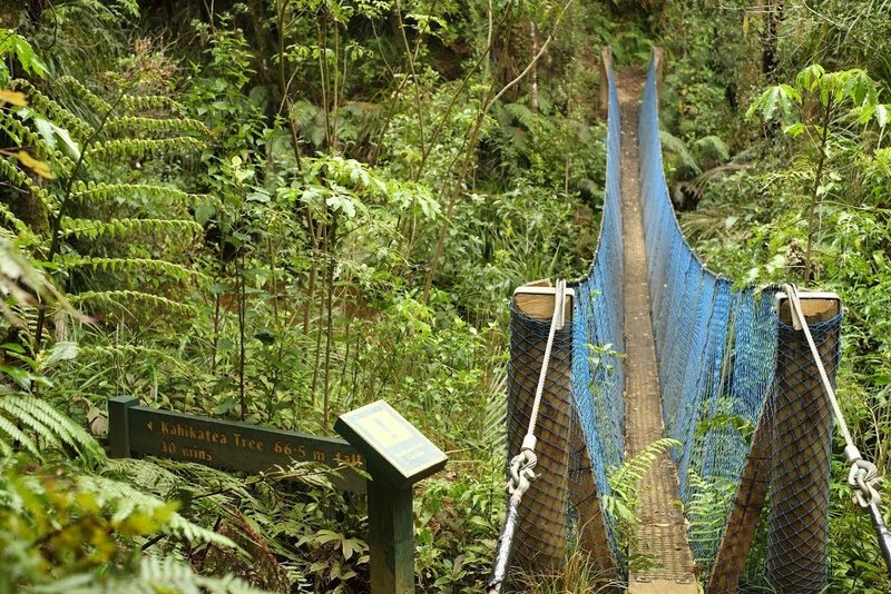 Swing Bridge at the stream confluence