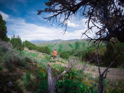 Beautiful view of the surrounding area.