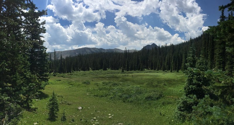 Meadow on the way to Missouri Lakes