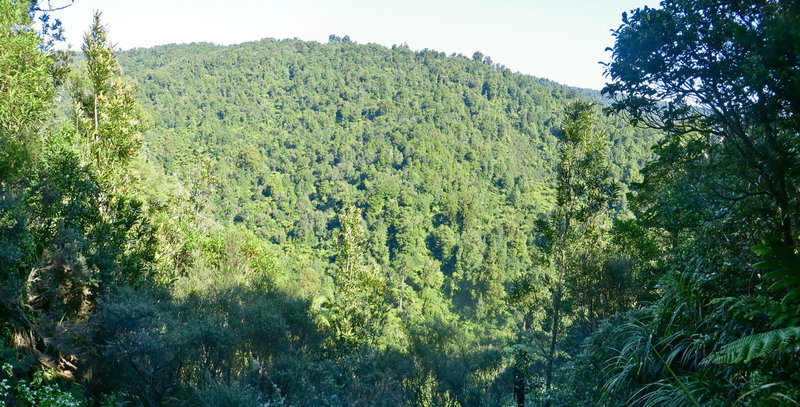 Kaniwhaniwha valley from Tahuanui Track. with permission from johnrag