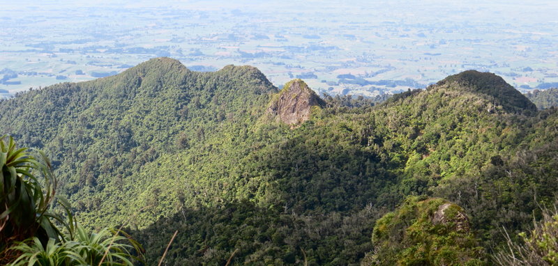 Ruapane and Tirohanga from Tahuanui Track. with permission from johnrag