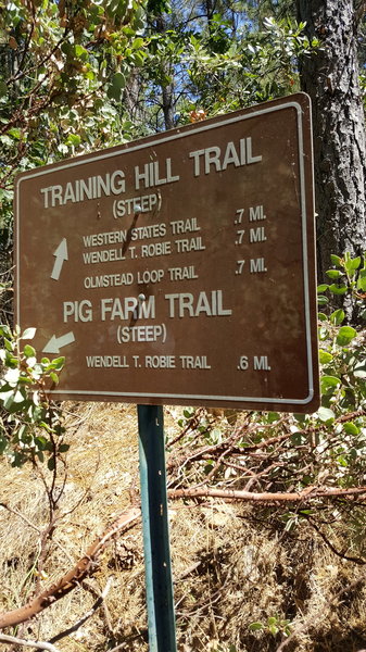 The sign at the top of Pig Farm Trail.