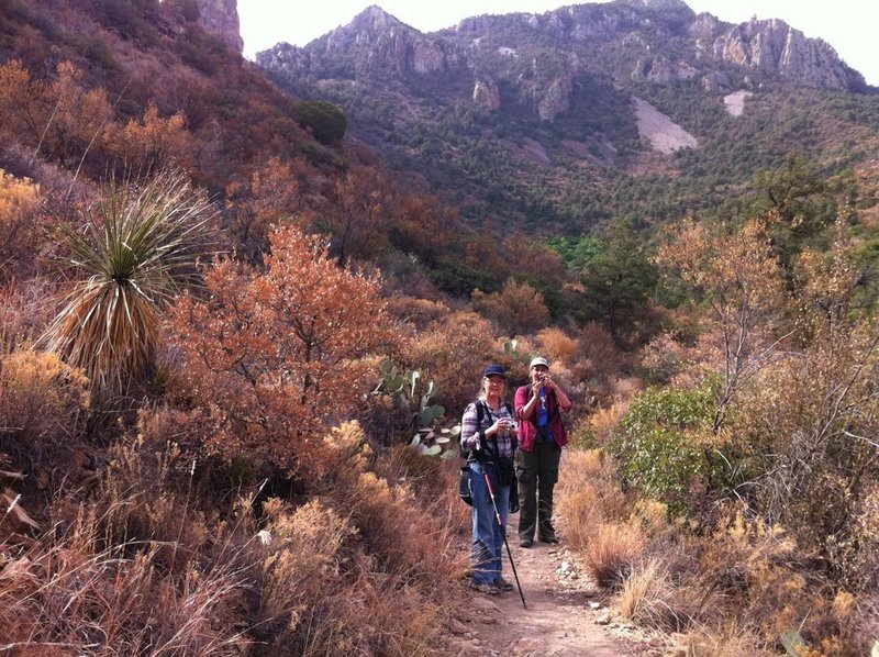 Heading along the Laguna Meadow Trail.