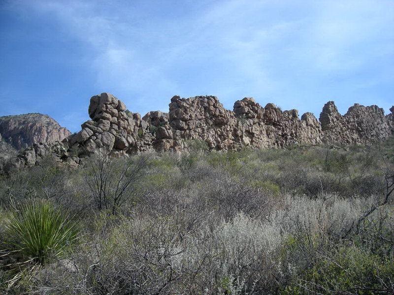 Igneous dike above Ward Spring Trail. with permission from eliot_garvin