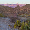 Fading light along the Hot Springs Canyon Trail.