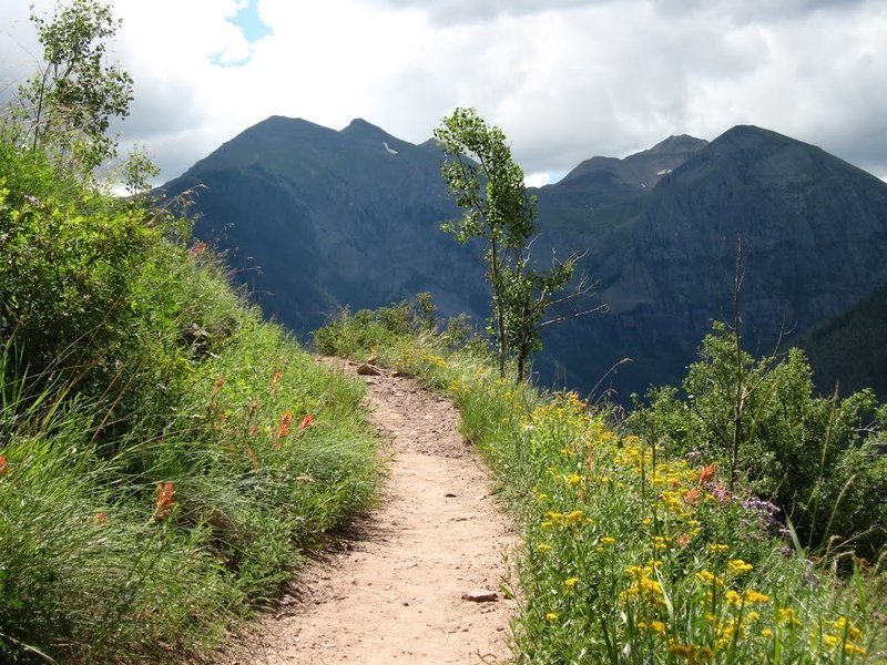 Jud Weibe Trail, Telluride, Colorado.